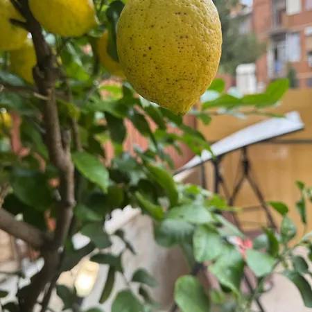 Lejlighed Agli Acquedotti, Con Giardino Privato *
